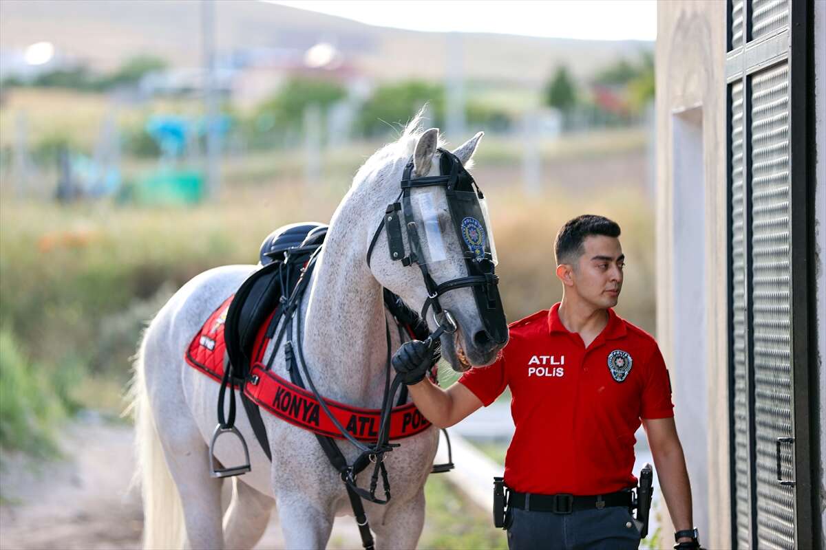 Konya sokaklarının "heybetli" devriyeleri! 4 aylık zorlu eğitimle hazırlanıyorlar 2